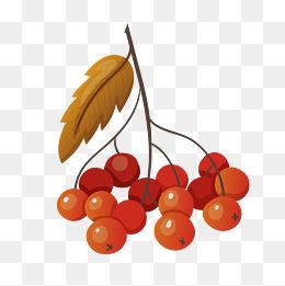 海棠果图片大全