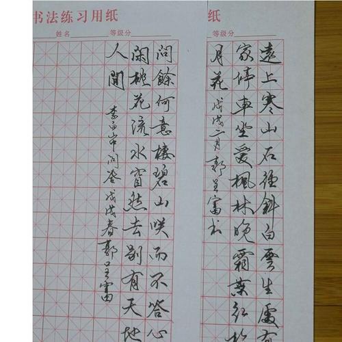 钢笔包邮正品笔头雕纹十二生肖书法学生弯头练字钢笔