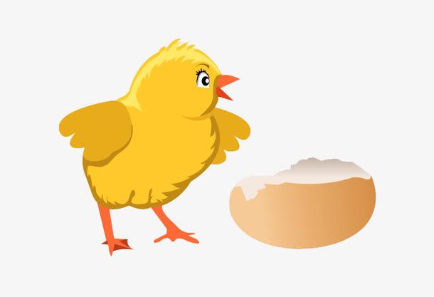 小鸡卡通