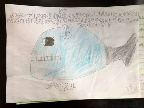 15级八班"动物名片"作业展览