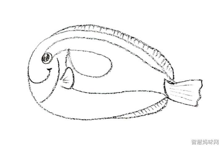 黄尾副刺尾鱼简笔画教程