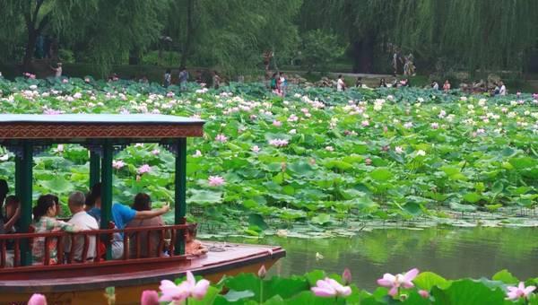 北京旅游景点推荐紫竹院公园旅游攻略低音号导游