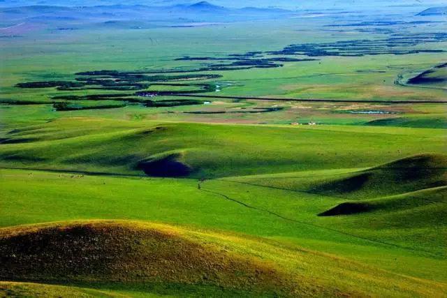 内蒙古新闻网 新闻中心 专题 爱上内蒙古 评述内蒙古   额仑草原生态