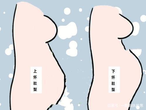 悬浮肚的秘密:容易怀男孩是真是假?可别大意了!