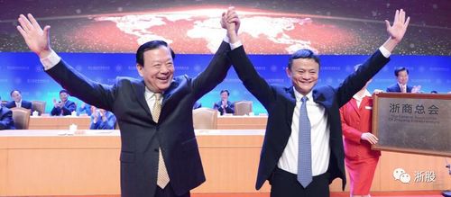 马云的2017:他比总理忙