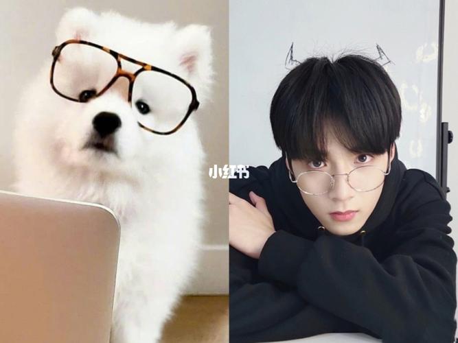 哪里来的吻文小狗勾_狗狗_刘耀文_娱乐_明星娱乐资讯