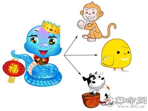 属蛇的最佳配偶:猴,鸡和牛