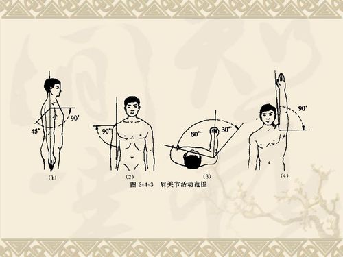 7                肩关节功能活动范围