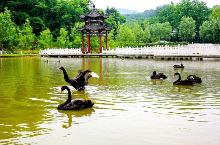  p>如月湖湿地公园位于博山城区西南10公里处,规划面积518公顷,森林