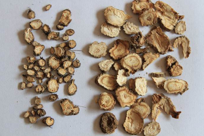 疏散风热,降气化痰,这味中药既安全又有效,你知道吗