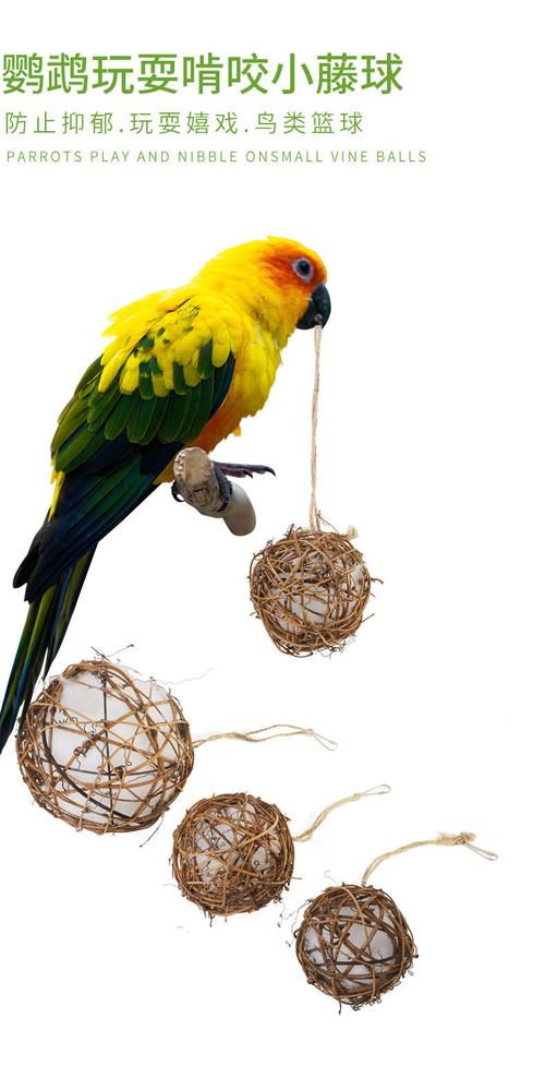 志哀亚马逊爆款 鹦鹉玩具藤球 棉花啃咬球拉丝球 解闷