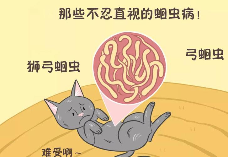 原创关于猫咪蛔虫病,你需要了解这些,不及时治疗后果还很严重!