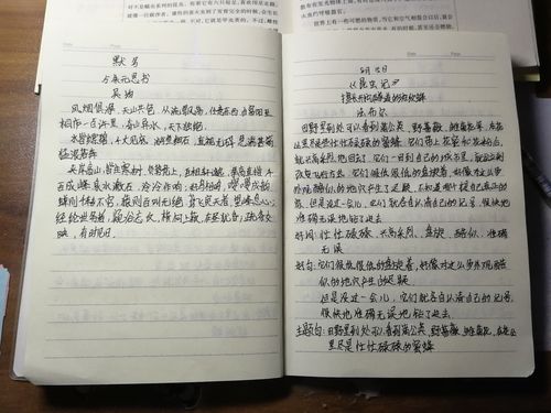 每天背诵课文,默写,摘抄美文.