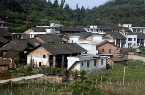 中国农村是一如既往的贫穷,而日本呢,日本农村有望族和庄园.