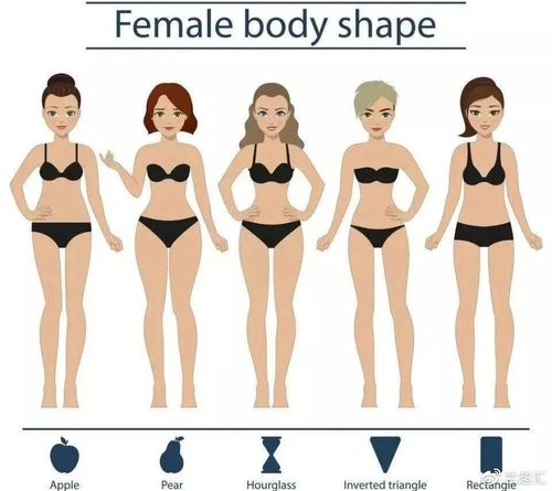 体形隶属于体型,体型(身体类型)的评定受体形(身体形状)等