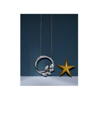 蒂芙尼victoria03系列铂金镶嵌钻石藤蔓圈形项链