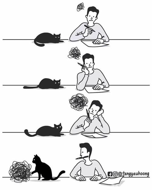 猫可能会把你脑子里乱七八糟的思维,当作毛线球弄走!