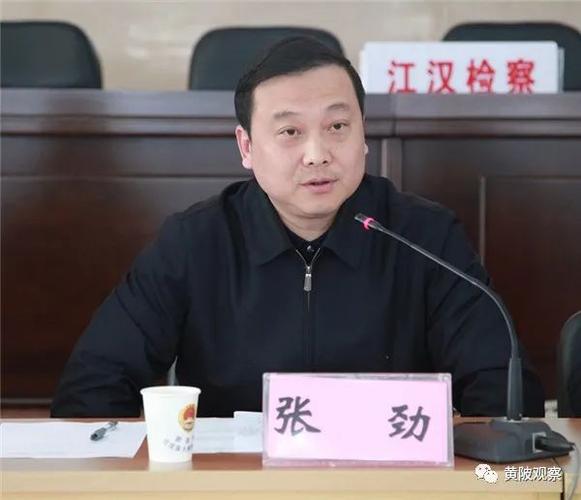 张劲任武汉市黄陂区委副书记区人民政府区长人选