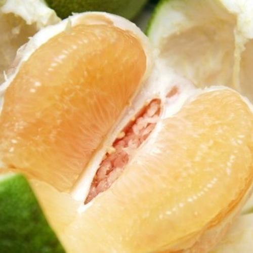 福建平和蜜柚管溪柚子水果新鲜白肉蜜柚白心柚子