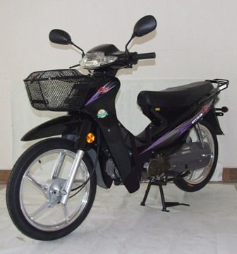 大阳两轮摩托车 dy110-2e