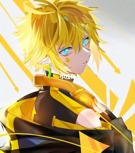 凹凸世界金头像