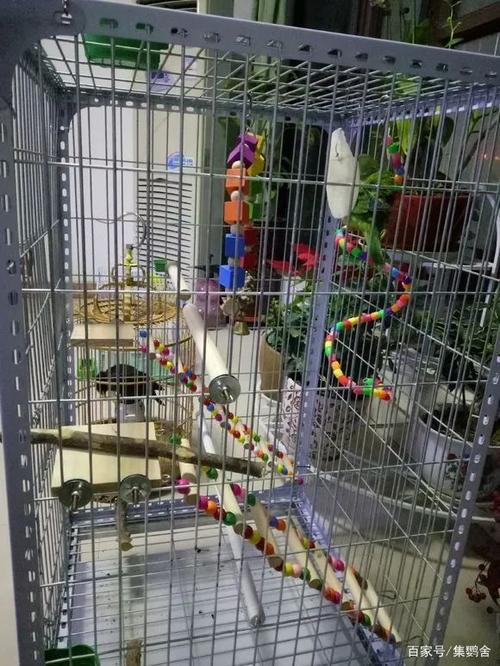 鸟笼鸟笼 - 热门商品专区