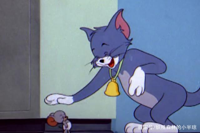 猫和老鼠:可爱小泰菲用事实证明,猫和老鼠不只有相爱