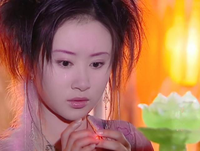 2004年,她又出演了《宝莲灯》.