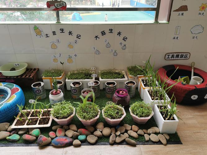"小角落,大世界"——天等县县直第一幼儿园自然角创设评比活动