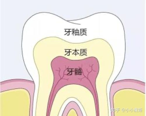 首先,要告诉大家一个残酷的事实:健康的牙齿本来就是黄的.