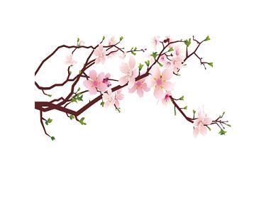 手绘桃花图片素材免费下载 - 觅知网