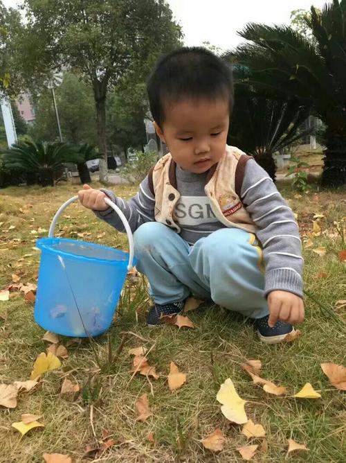 一脸稚气的小男孩拎着小桶,捡着树叶