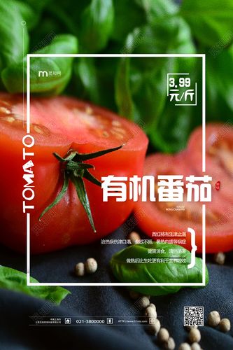 觅知网 设计素材 设计模板 > 红色实景有机番茄农产品海报.