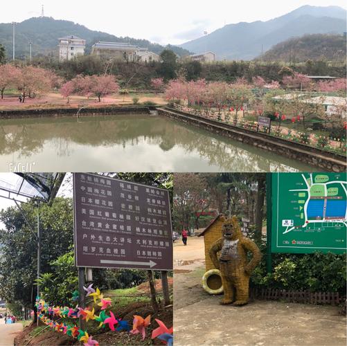 2018年1年6班——龙台山生态园春游