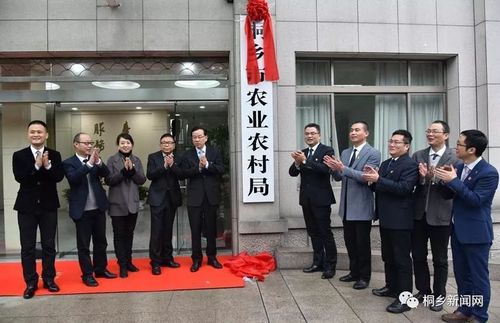 桐乡10个新部门正式挂牌!