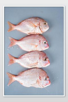 海鲜水产红立鱼摄影图片