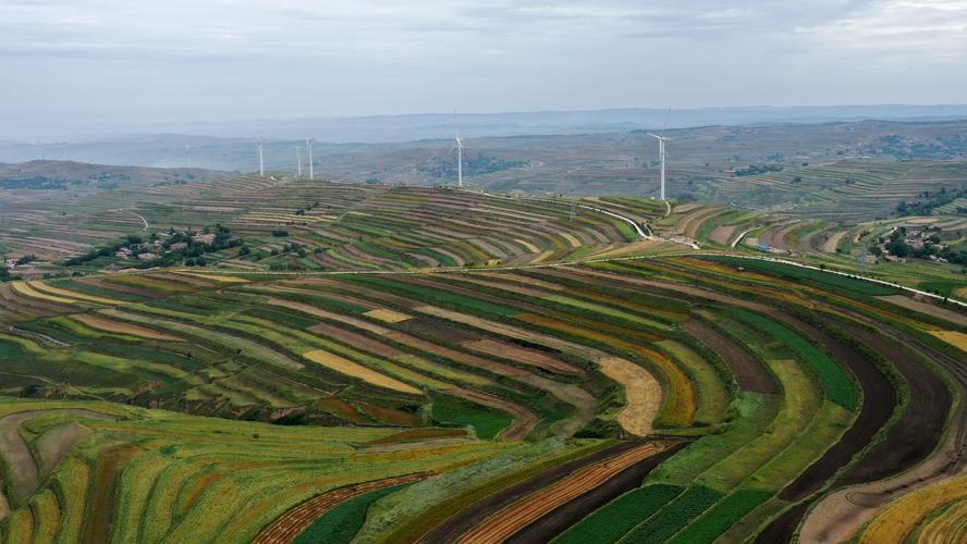 甘肃省定西市通渭县华家岭的梯田与风电机组(8月22日摄,无人机照片).