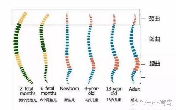 教你正确抱娃方式, 别再抱错了, 你可能正在伤害宝宝脊柱