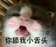 你舔我小舌头