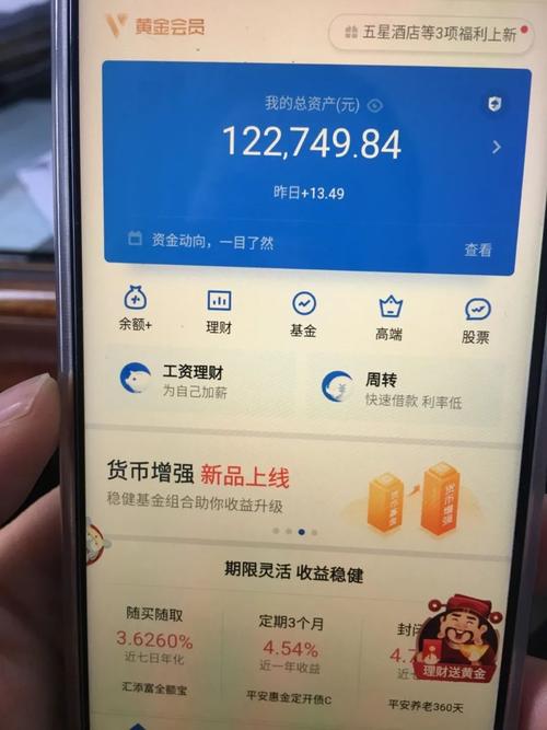 被执行人理财账户余额 被执行人交纳案款