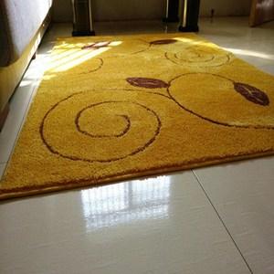 金色地垫门垫 风水地毯100*110定制入户玄关门厅防滑脚垫进门地垫