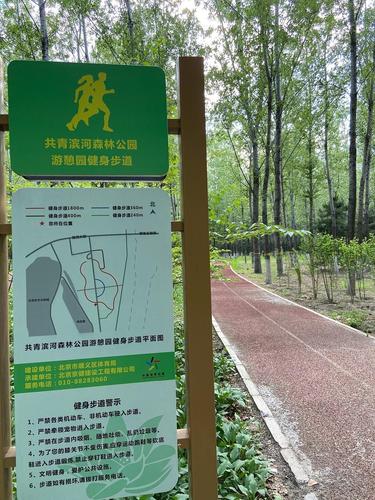 身边的风景:共青滨河森林公园