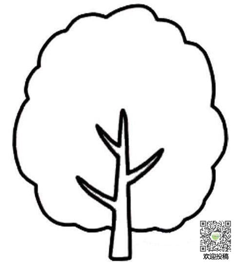 大树简笔画图片_大树儿童绘画作品图集