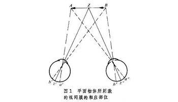 双眼视差是深度知觉的主要线索.