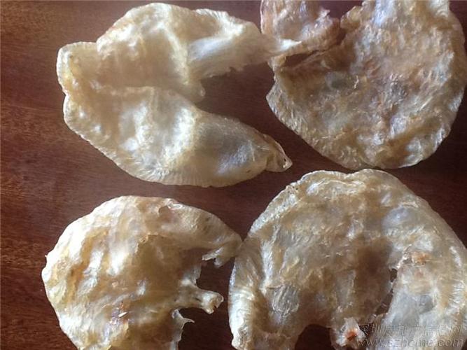 假鱼胶!华泰原创