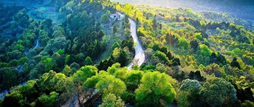 龙泉山城市森林公园又有大动作