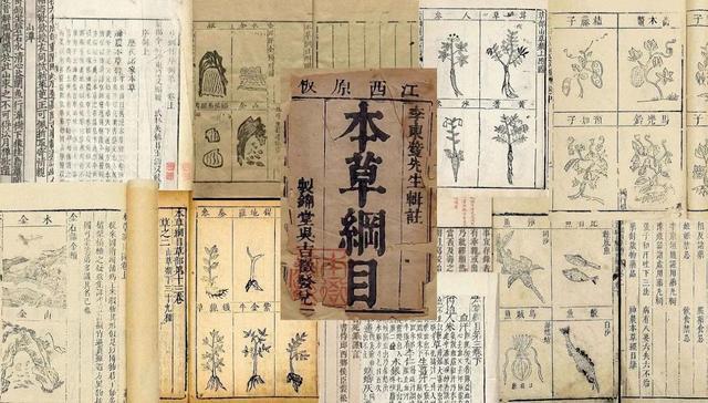 古代的蒙汗药其实配方很简单解药更是常见