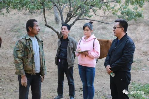 不忘初心 矢志扶贫——记县杨家湾镇脱贫攻坚专职副镇长王保全