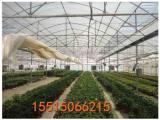温室工程有限公司13838343291主营产品:蔬菜大棚钢架大棚大棚骨架随着