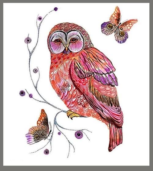 素材|美丽的彩色线描画